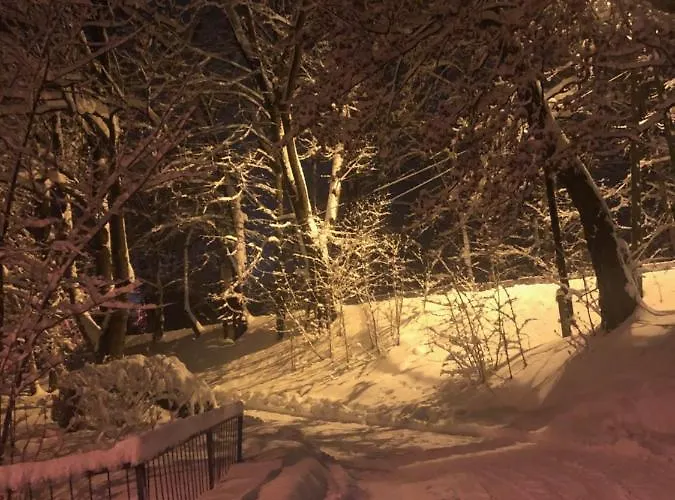 Prázdninový dům Dom W Glince - Ujsoły